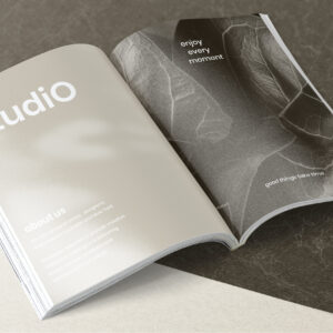Revista